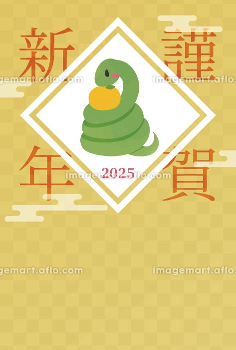 巳年 2025